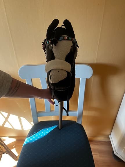 Käpphästar