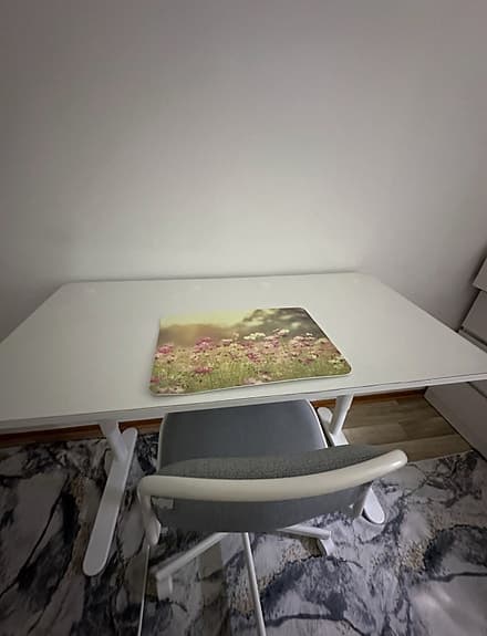 Höj och sänkbart skrivbord