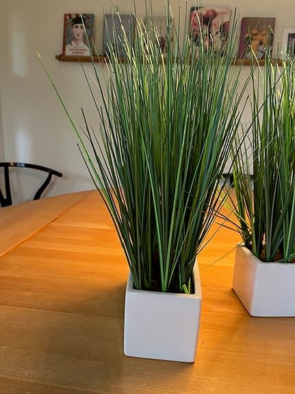 Konstgjorda gräsplantor i vita krukor