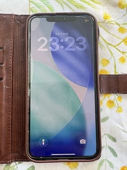 Iphone 11 promax