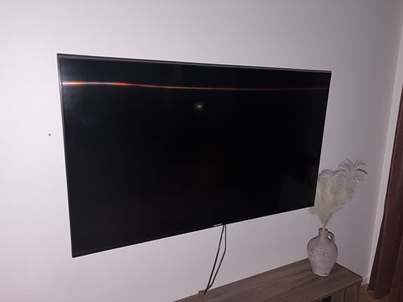 55" Sharp TV (1,5 år gammal)