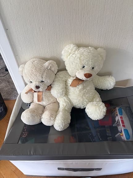 Teddy Björn 🐻