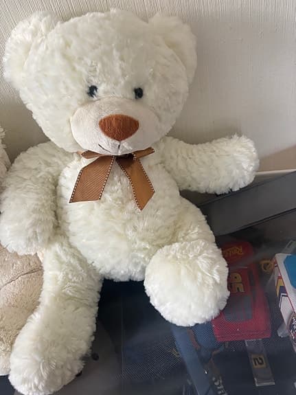 Teddy Björn 🐻