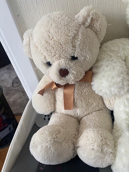 Teddy Björn 🐻