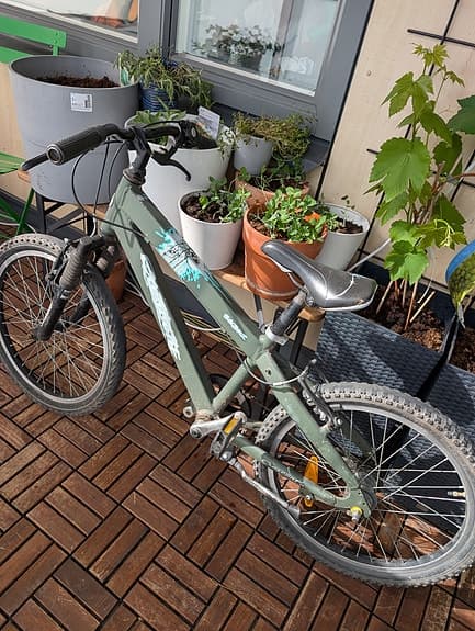 Crescent barncykel 20"