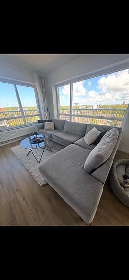 Divansoffa - Grå 295x195