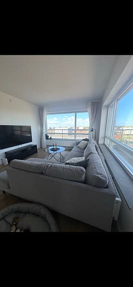 Divansoffa - Grå 295x195