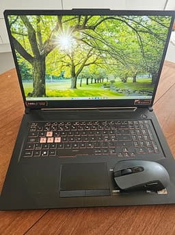 Asus TUF Gaming A17 17,3" laptop svart