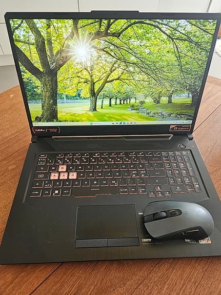 Asus TUF Gaming A17 17"