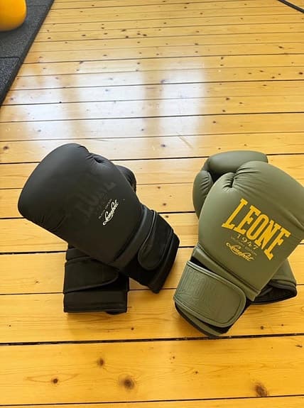 Title sandsäck med bra takfäste +  boxningshandskar