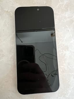 Apple iPhone 16 Pro Max 256 GB grå