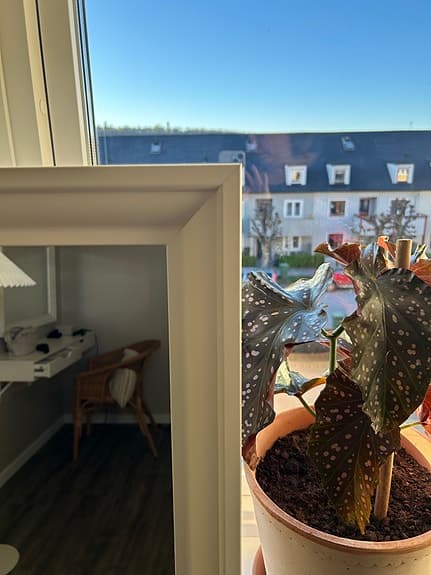 IKEA TOFTBYN spegel vit