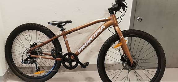 Mountainbike principia