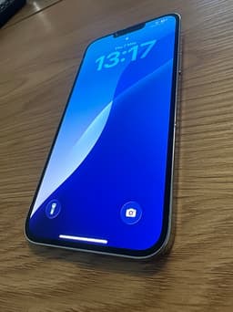 Iphone 13 Pro Max i toppen skick