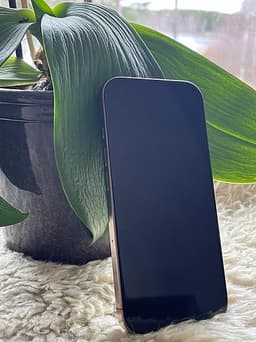 Apple iPhone 16 Pro Max 128 GB guld