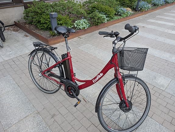 Ecoride ambassador