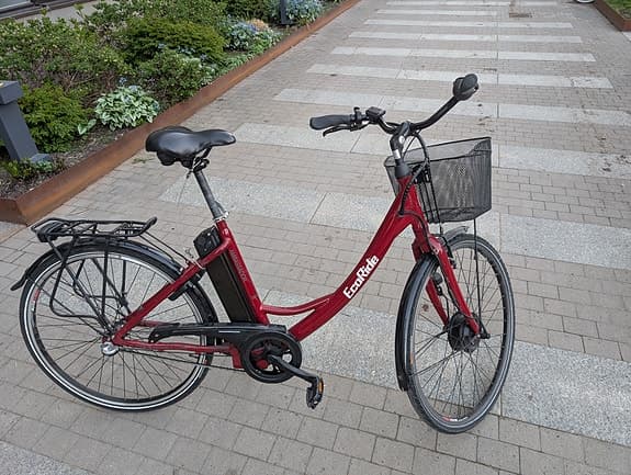Ecoride ambassador