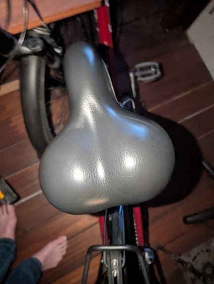 Ecoride ambassador