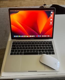 Toppskick! MacBook Pro 13" (A1708) inkl. Magic Mouse & Incase-fodral
