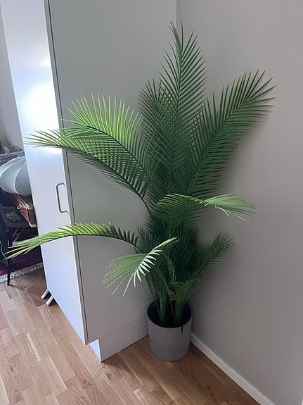 Konstväxt med kruka.