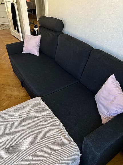 Svart bäddsoffa