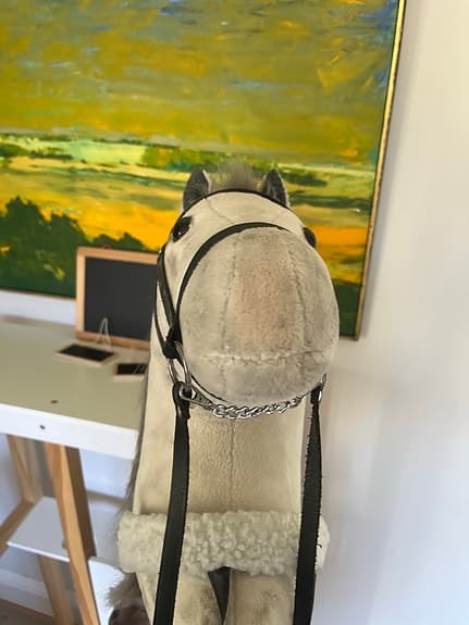 Fin käpphäst!