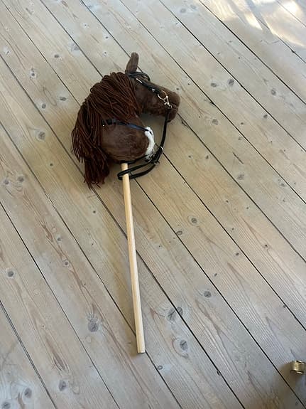 Glamorös käpphäst!
