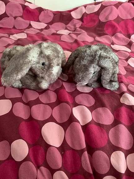Molli Toys gosedjur kanin par