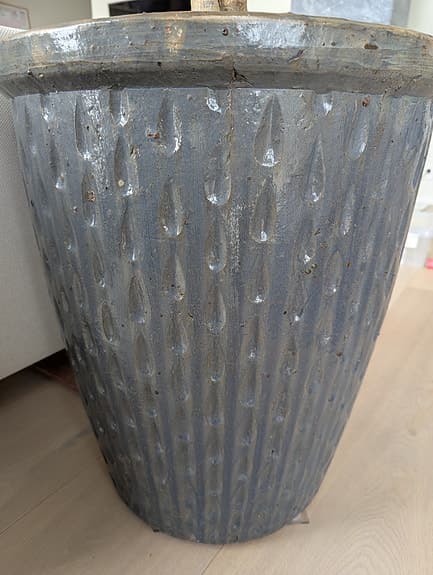 3,40 m hög strandkastanj inklusive kruka
