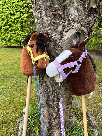 Käpphästar med tillbehör