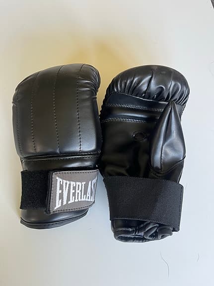 Boxsäck och boxhandskar Everlast
