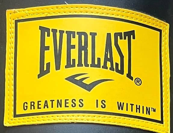 Boxsäck och boxhandskar Everlast