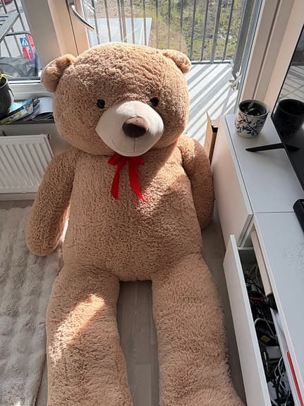 210 nalle