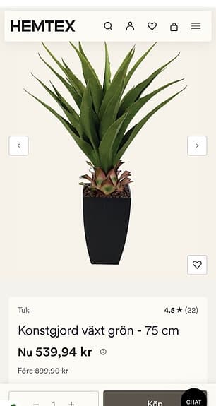 konstväxt agave i kruka