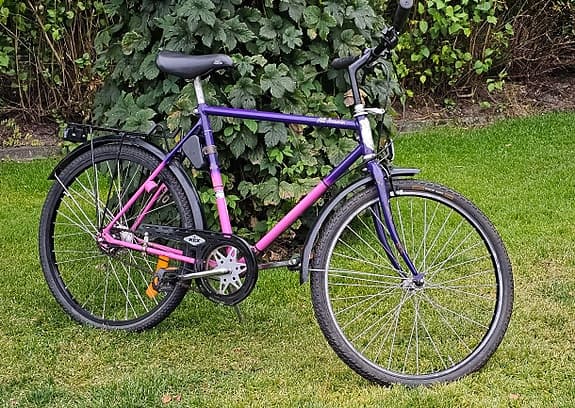 Rex herrcykel 7 växlar