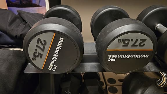 27.5 kg hantlar