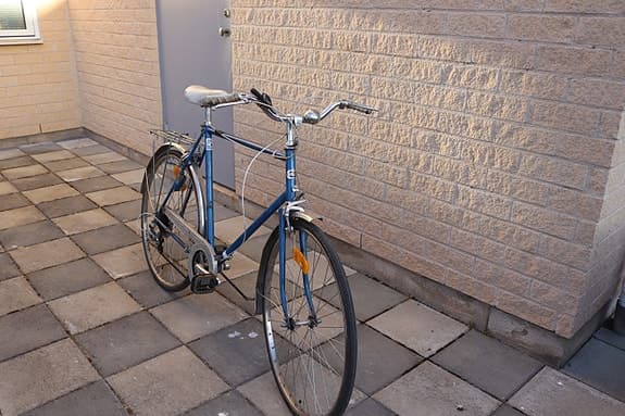 Sportig Retro Världsmästarcykel