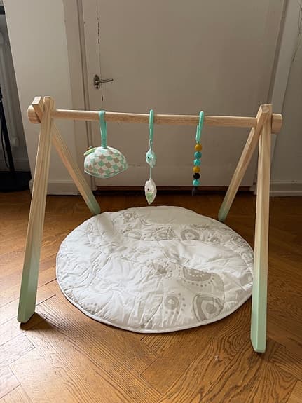Babygym + matta + leksaker
