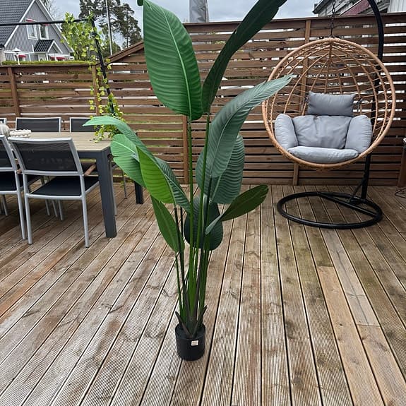 Botanica Strel konstväxt 150 cm grön