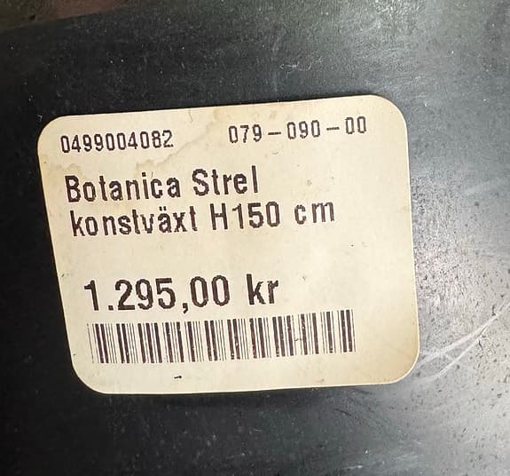Botanica Strel konstväxt 150 cm grön