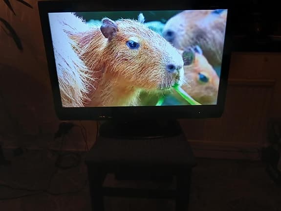 Sharp 32" LCD TV.