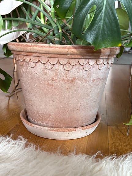 Stor monstera i Bergs Potter kruka 30cm