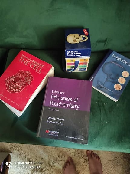Netters anatomy flashcards