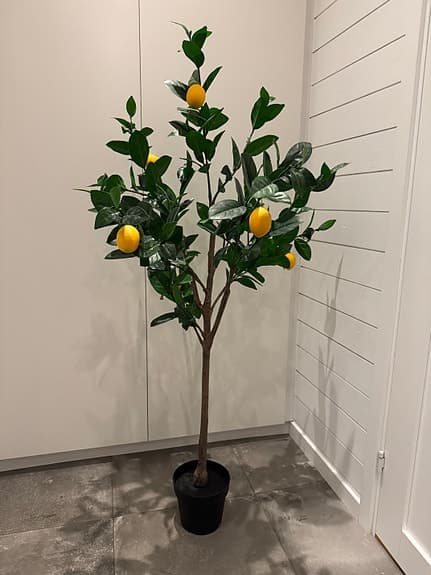 Konstgjort citronträd i kruka