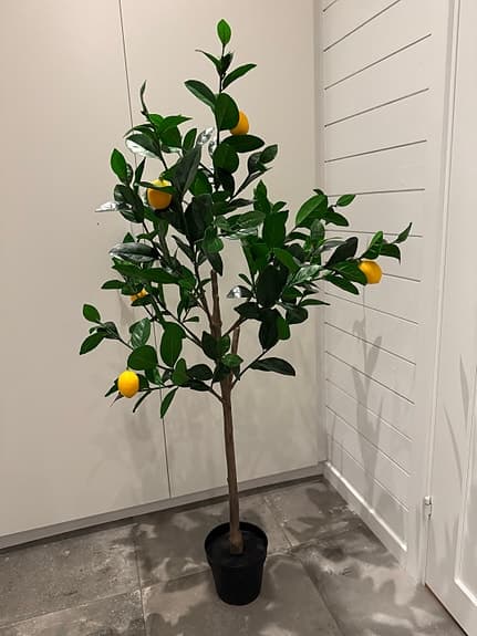 Konstgjort citronträd i kruka