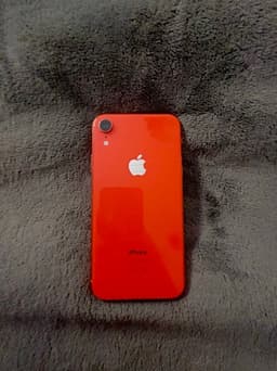 iPhone XR