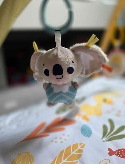 Fisher-Price babygym