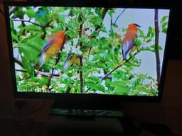 Samsung 43" Plasma TV.