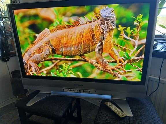Panasonic 42" Plasma TV.