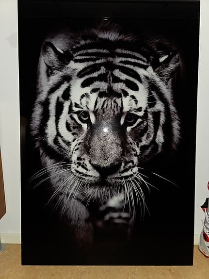 tavlor i glas – tiger samt  blommor